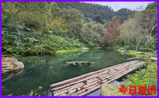 适合小学生旅游的城市有哪些
