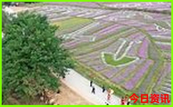 安徽岳西县鹞落坪避暑胜地